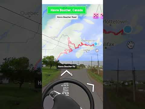 Thousands of people ‘driving’ one car | DW News