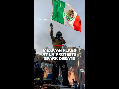 Mexican flags at LA protests spark heated debate