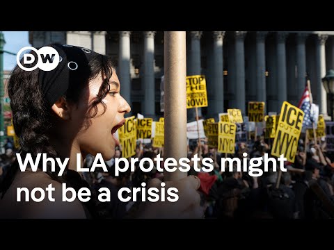 Hodges: LA crackdown ‘a manufactured crisis’ | DW News