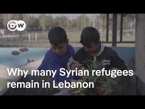 Why going home isn’t an option for many Syrian Refugees | DW News