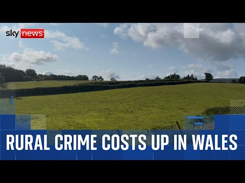 Cost of rural crime in Wales at its highest in more than a decade