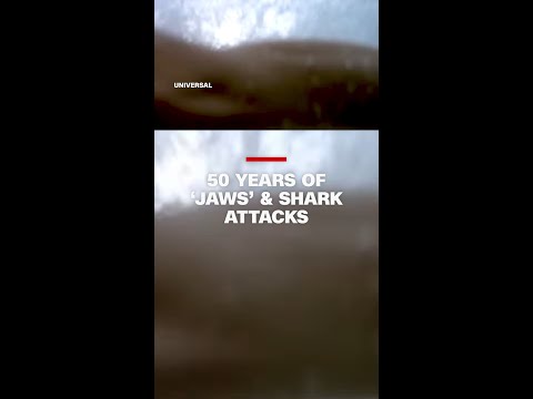50 years of ‘Jaws’ and shark attacks