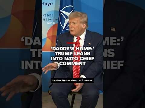 ‘Daddy’s home:’ Trump leans into NATO chief comment