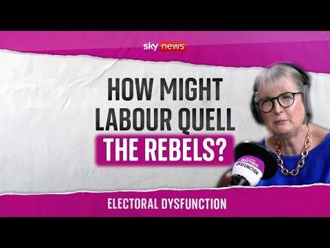 How might the welfare rebellion play out? | Electoral Dysfunction