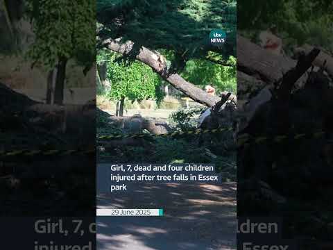Girl, 7, dies after tree falls in Essex | ITV News
