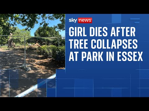 Seven-year-old girl dies after tree partially collapses at Southend park