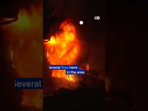 Firefighters in Turkey battle to contain wildfires | DW News