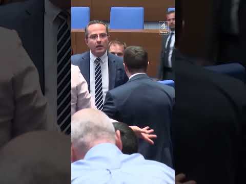 Bulgarian MPs scuffle as EU says country can join the Euro