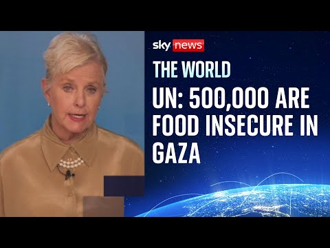 United Nations says there’s ‘no evidence’ Hamas is stealing aid | War in Gaza