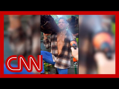 Risqué TikTok posts go viral and spur interest in national parks