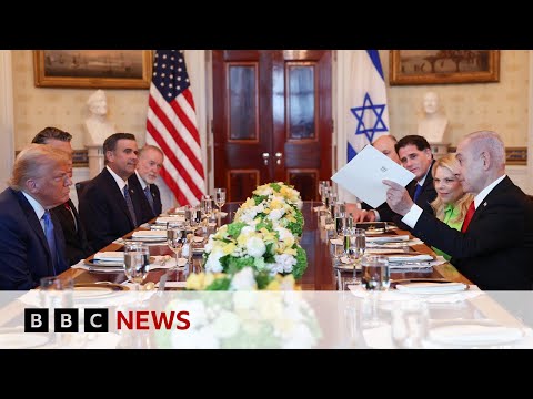 Israel-Gaza ceasefire talks ‘going well’, says US President Donald Trump | BBC News