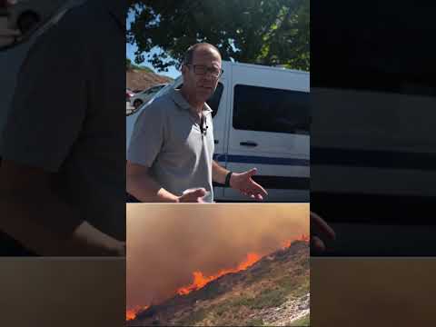 Has a major disaster been averted after wildfires in Marseille?