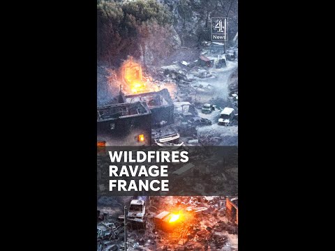 Wildfires ravage France and Syria as family killed in New Mexico flash flood