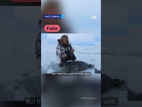 Fact check: Polar Bear Hoax – How a fake site framed Merz in viral clip | DW News