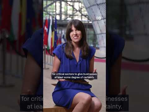 EU-US tariff standoff: Should the EU suck it up or hit back? | DW News