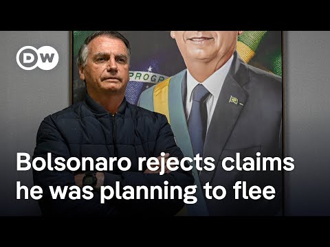 Brazil’s Bolsonaro banned from using social media, ordered to wear monitoring device | DW News