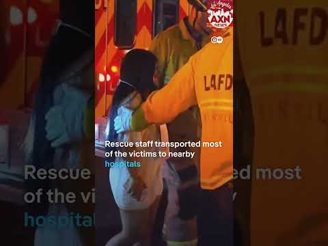 Car rams into crowd in LA | DW News