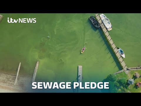Government pledges to ‘halve sewage pollution’ by 2030 | ITV News