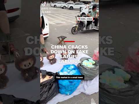 China cracks down on fake “Lafufu” Labubus