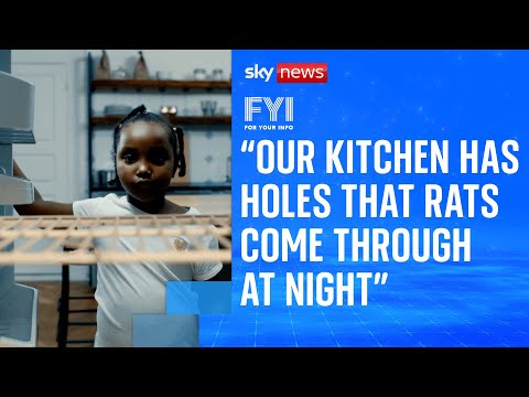 FYI: ‘Our kitchen has holes that rats come through at night’