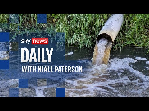 Does water’s ‘Great Stink’ moment pass the sniff test?