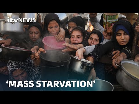 ‘Mass starvation’ spreading across Gaza and people ‘wasting away’, 100 aid agencies warn | ITV News