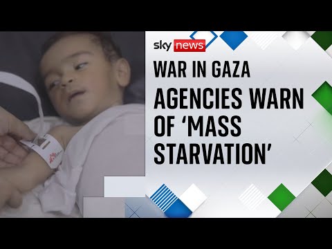 Gaza: More than 100 aid agencies warn of ‘mass starvation’