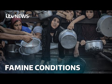 ‘Man-made mass starvation’ gripping Gaza and killing children, WHO says | ITV News