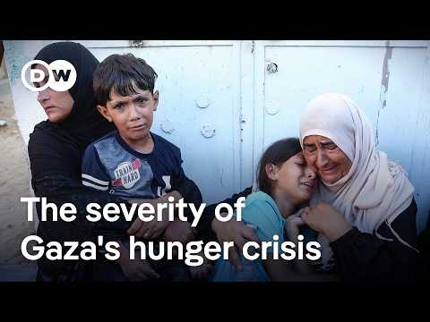Gaza’s hunger crisis: What it is like on the ground, and what comes next | DW News