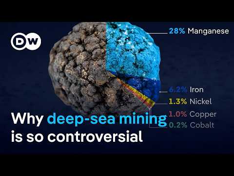 Nations discuss deep-sea mining at Jamaica summit | DW News