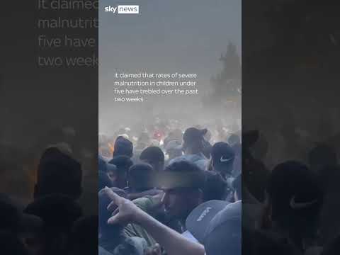 People in Gaza jump on food trucks