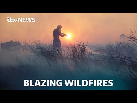 Watch as wildfires devastate the countryside across large parts of Europe | ITV News