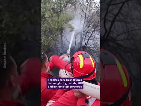 Deadly wildfires spread across southern Europe