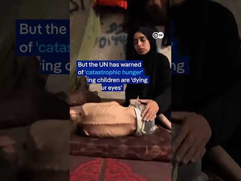 Why airdrops don’t make sense | DW News