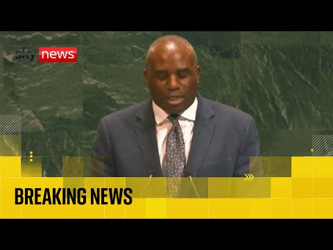 Foreign Secretary David Lammy addresses two-state solution summit in New York