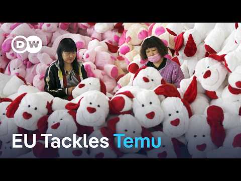 EU warns Temu on product safety | DW News