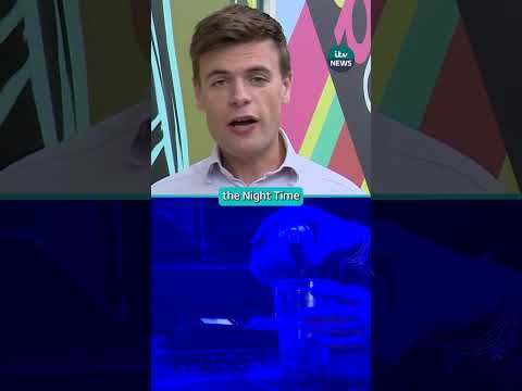 Why are so many nightclubs closing? #itvnews #nightclub #clubbing
