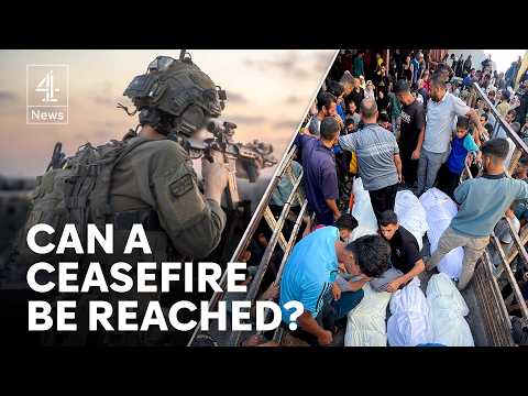 Hamas ready to discuss ceasefire with Israel as Gaza deaths rise