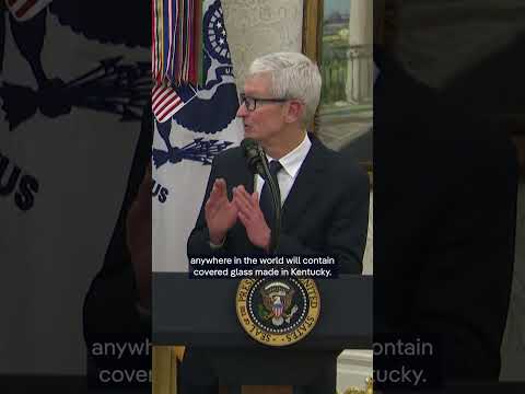 The exception to Trump’s circa 100% tariffs on semiconductors | DW News