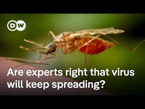 Chinese authorities attempt to limit spread of chikungunya virus | DW News