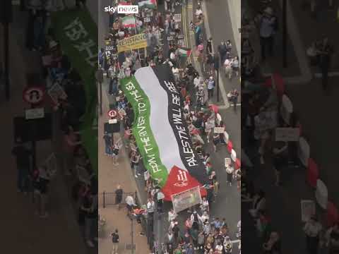Palestine Action supporters arrested at protest