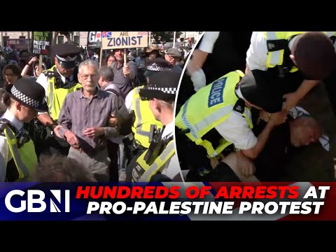HUNDREDS of arrests made as pro-Palestine protests ‘kick off’ in London