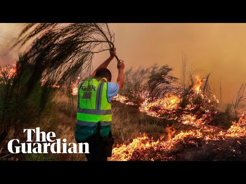 Firefighters tackle wildfires across southern Europe