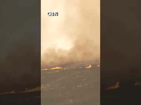 Wildfires TEARS through Spain’s Castile and Leon as PM warns of extreme threat