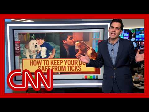 CNN’s Harry Enten on how to keep your dog safe from ticks