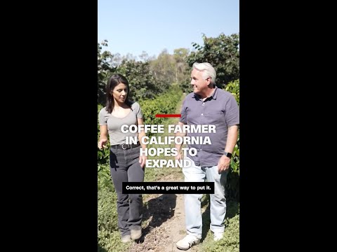 Coffee farmer in California hopes to expand