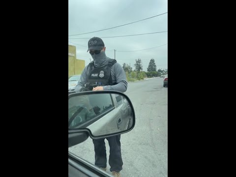 Federal immigration agents open fire on a family’s vehicle