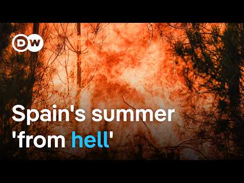Deadly wildfires across Spain: Where are the worst-affected areas? | DW News
