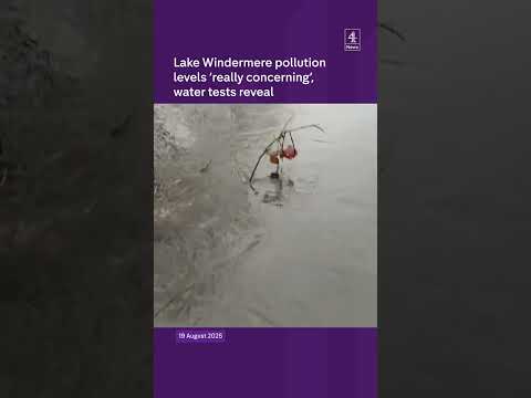 Lake Windermere pollution levels ‘really concerning’, water tests reveal