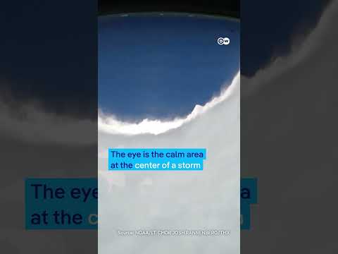 Into the eye of the storm | DW News